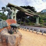 Deluxe Great Ocean Road Private Tour - An In-Depth Exploration of the Itinerary