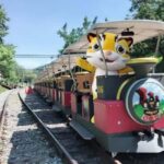 Departing from Taipei or Taichung: Deep travel in Miaoli - Practical Details and Tips