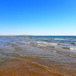 Desert Adventure from Samarkand: Yurt Camp & Aydarkul Escape - The Itinerary in Detail: What You Can Expect