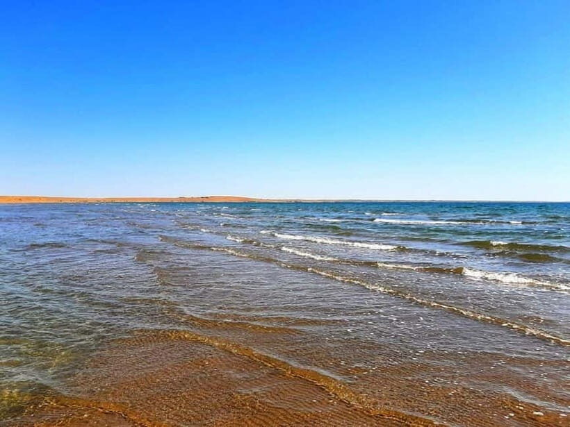 Desert Adventure from Samarkand: Yurt Camp & Aydarkul Escape - The Itinerary in Detail: What You Can Expect