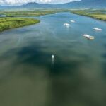 Discover Cairns: Cairns River Cruise & City Sights Tour - Waterfront Lunch at Dundee’s