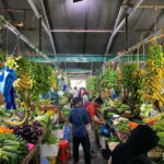 "Discover Male': A Guided Tour in the Heart of the Maldives. - Who Should Take This Tour?