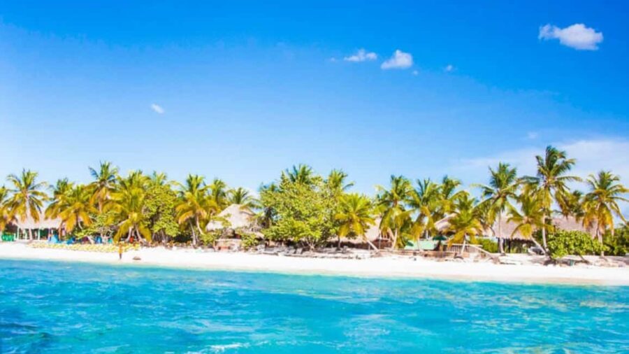 Discover Punta Cana: Full-Day Saona Island All Included - The Experience in Detail