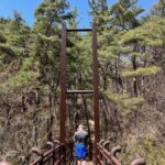 Discover Sacred Trails to Yongjangsa at Gyeongju's Namsan Mt - Practicalities and Value