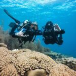Discover Scuba Diving in Diver's Paradise! - Guided by Local Experts