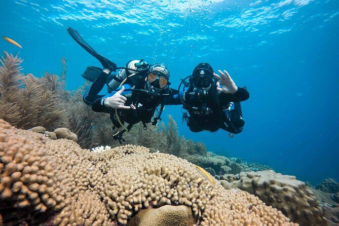 Discover Scuba Diving in Diver's Paradise! - Guided by Local Experts