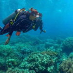 Discover Scuba: PADI Intro Dive in Dauin - What’s Included and What’s Not