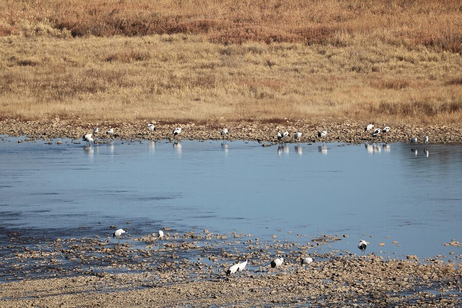 Mangjae Rapids on the Imjin River near the DMZ