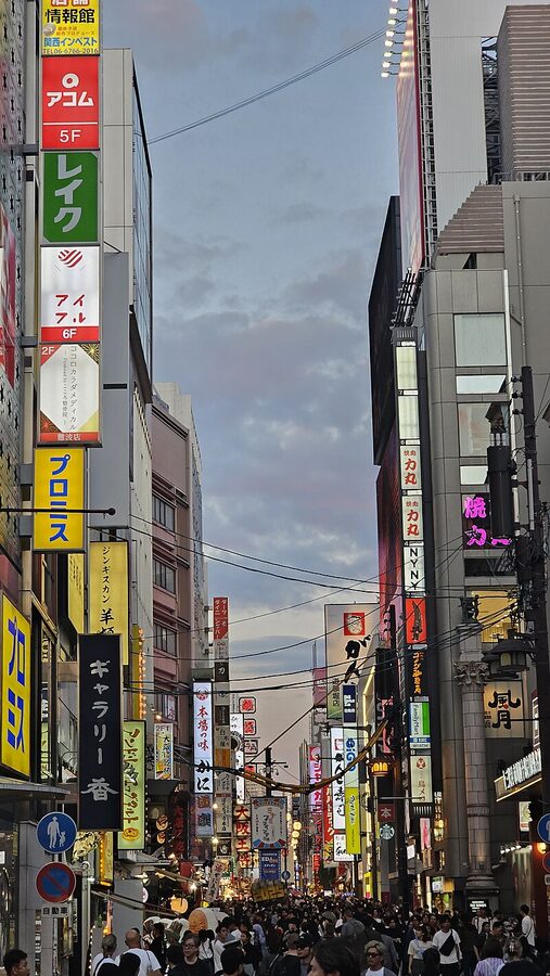 Wide view of Dotonbori River in Namba Osaka