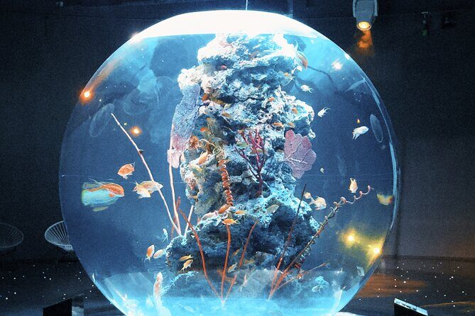 Dreamy Day Trip in Kobe - Why This Tour Offers Great Value