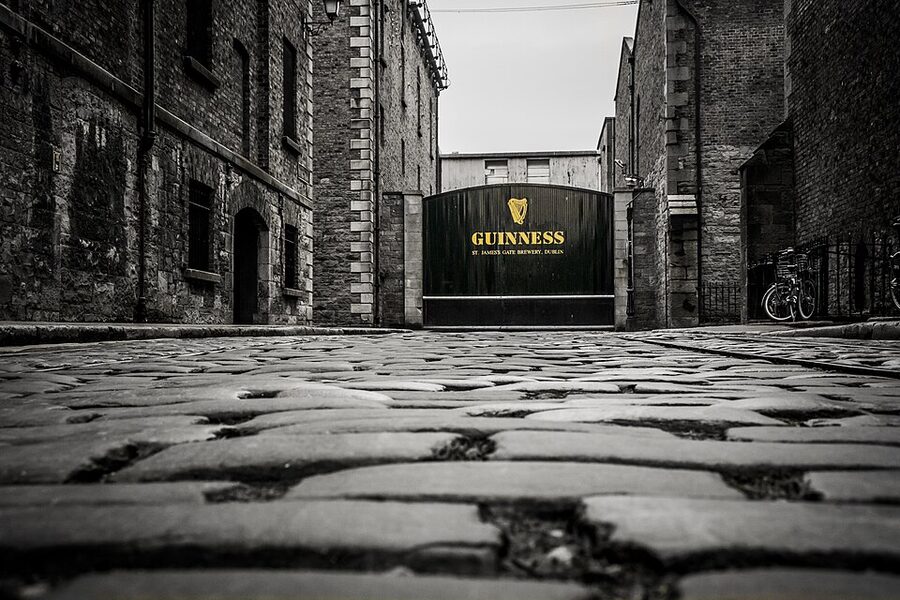 Guinness Storehouse ingredients floor barley and hops display
