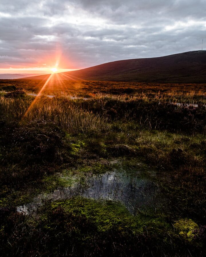 Sally Gap sunset, Wicklow Mountains National Park