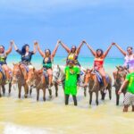 Dunn's River Falls and Horseback Riding Adventure Ocho Rios Ja - What’s Included and What’s Not