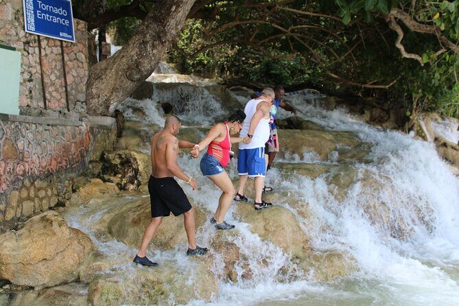 Dunns River Falls Half Day Private Tour Including Entry Fee. - Why This Tour Works for You