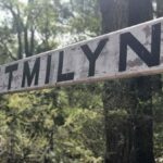 Dwellingup: Guided Hike and Scenic Train Ride with Lunch - Why Choose This Tour?