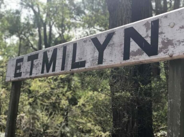 Dwellingup: Guided Hike and Scenic Train Ride with Lunch - Why Choose This Tour?