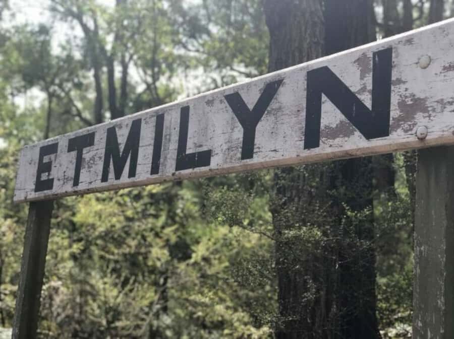 Dwellingup: Guided Hike and Scenic Train Ride with Lunch - Why Choose This Tour?