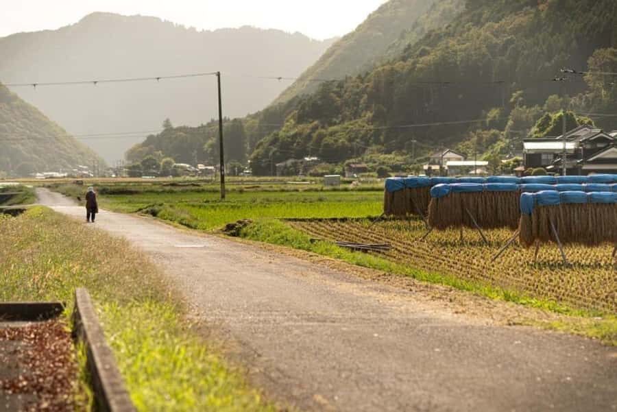 e-bike Tour in the Shiso Region with Lunch at a Sake Brewery - Breaking down the itinerary