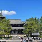 E-Bike Tour through Ikarugas Temples and Countryside - Who Would Enjoy This Experience?