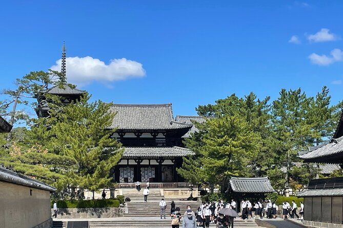 E-Bike Tour through Ikarugas Temples and Countryside - Who Would Enjoy This Experience?