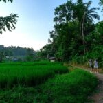 East Bali: Authentic Sidemen Rice Fields Walk & Snorkeling - Practical Details and Tips