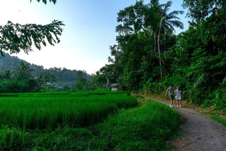 East Bali: Authentic Sidemen Rice Fields Walk & Snorkeling - Practical Details and Tips