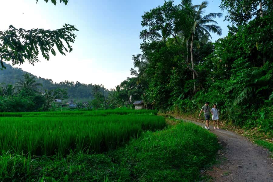 East Bali: Authentic Sidemen Rice Fields Walk & Snorkeling - Practical Details and Tips