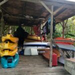 East Coast Private Island Day Trip Kayak & Picnic Experience - Exploring the Itinerary in Depth