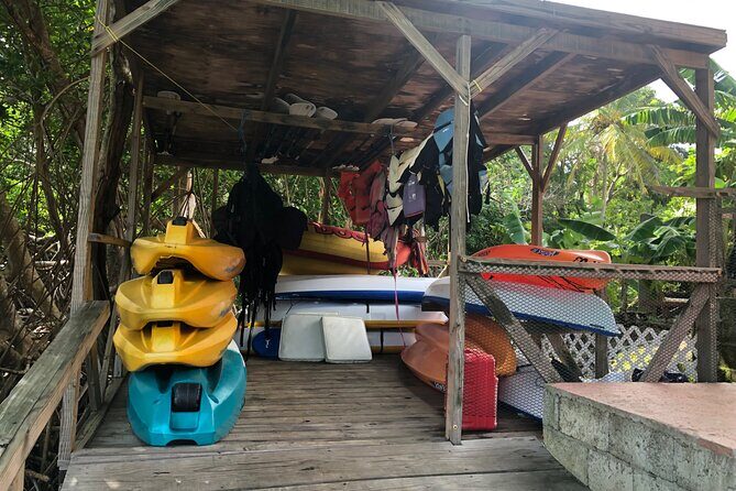 East Coast Private Island Day Trip Kayak & Picnic Experience - Exploring the Itinerary in Depth