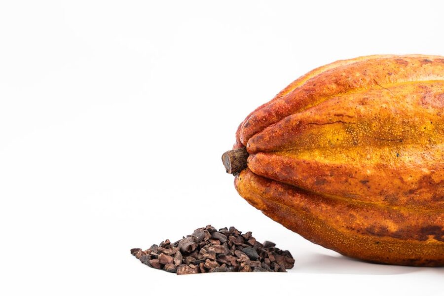 Cacao pod and cocoa nibs