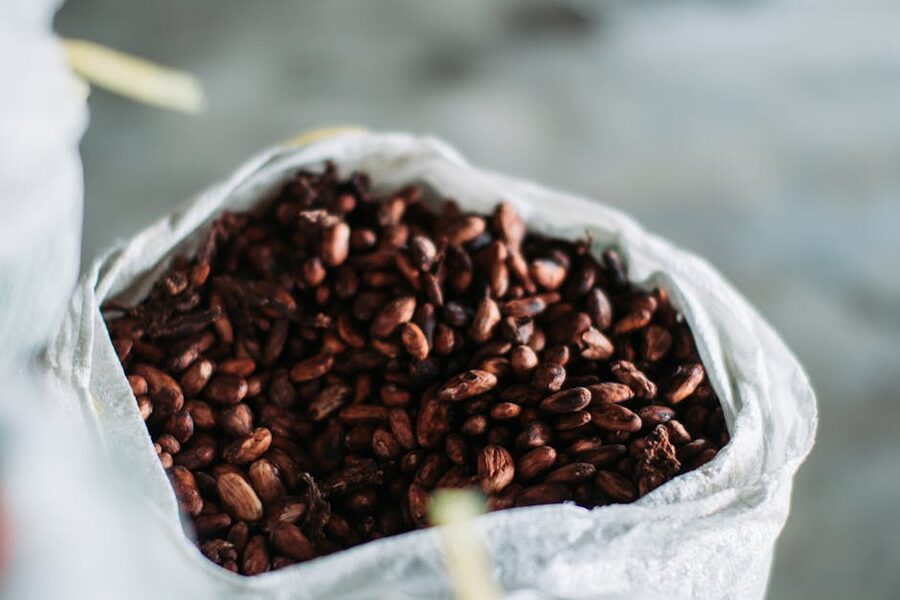 Cocoa beans in a sack