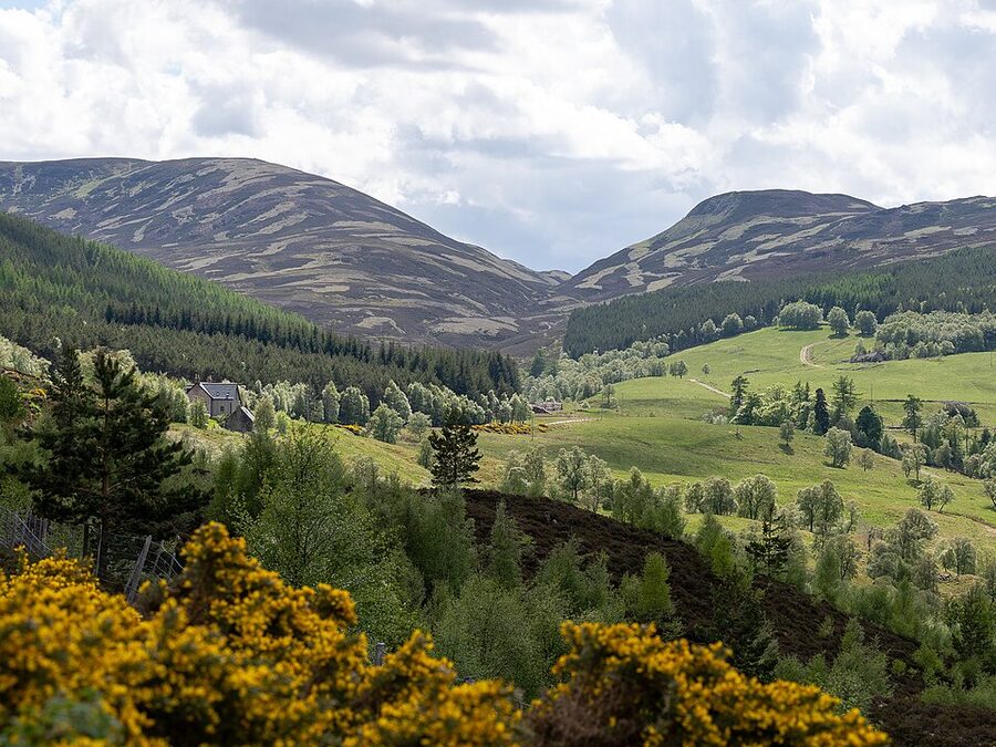 Cairngorms National Park Scotland