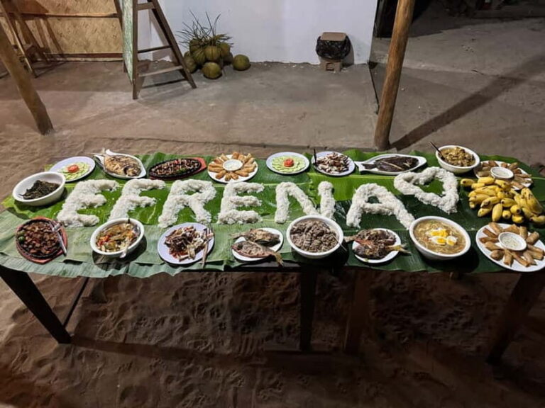El Nido, Sibaltan: Family Dinner, Bonfire and Karaoke - Practical Details and Considerations