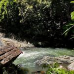 El Yunque Rainforest Waterslides and Luquillo Beach Tour - Practical Details and What to Expect