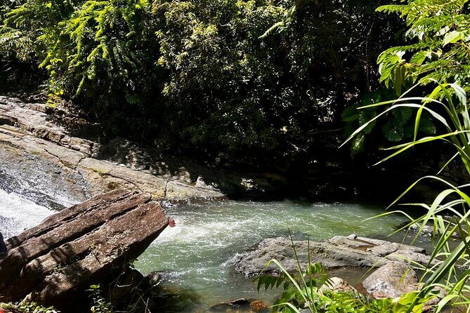 El Yunque Rainforest Waterslides and Luquillo Beach Tour - Practical Details and What to Expect