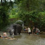 Elephant Eco Park Free Entry & ATV, Raft & Waterfall, Tribe - An Overview of the Mae Wang Experience
