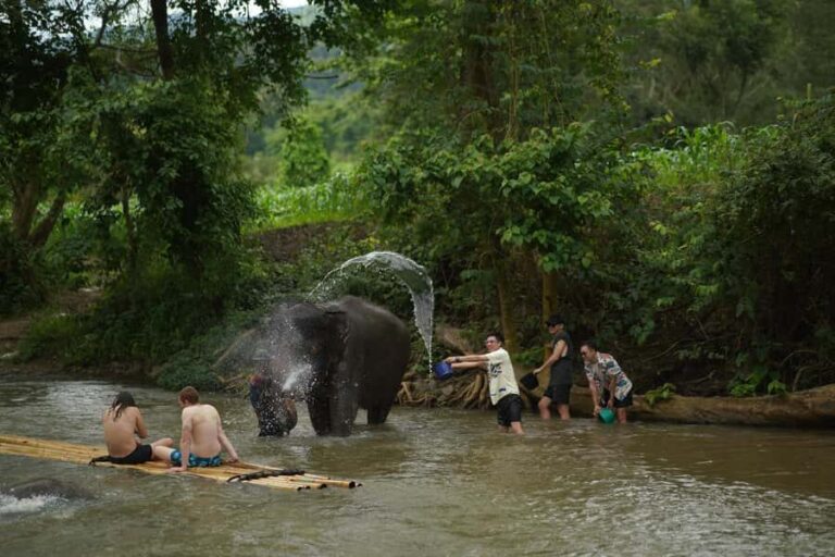Elephant Eco Park Free Entry & ATV, Raft & Waterfall, Tribe - An Overview of the Mae Wang Experience