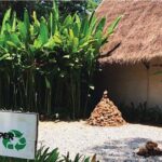 Elephant Poopoopaper Park Entry Ticket - The Itinerary: What to Expect