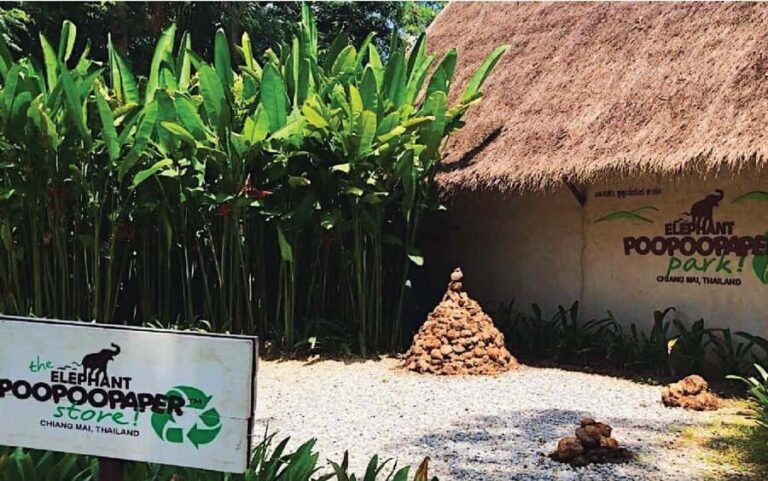 Elephant Poopoopaper Park Entry Ticket - The Itinerary: What to Expect