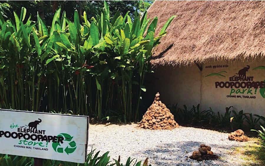 Elephant Poopoopaper Park Entry Ticket - The Itinerary: What to Expect