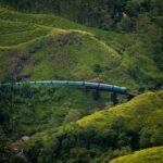 Ella: 3-Day Tour with Village Experience and Meals - Who Should Consider This Tour?