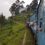 Ella: Curated Day Tour with Scenic Train Journey from Kandy - Stop at Ramboda Waterfalls and Damro Tea Factory