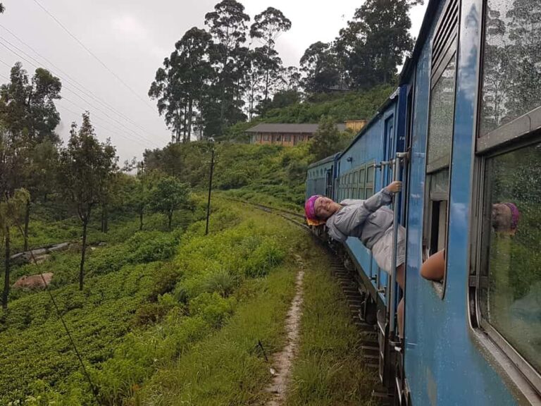 Ella: Curated Day Tour with Scenic Train Journey from Kandy - Stop at Ramboda Waterfalls and Damro Tea Factory