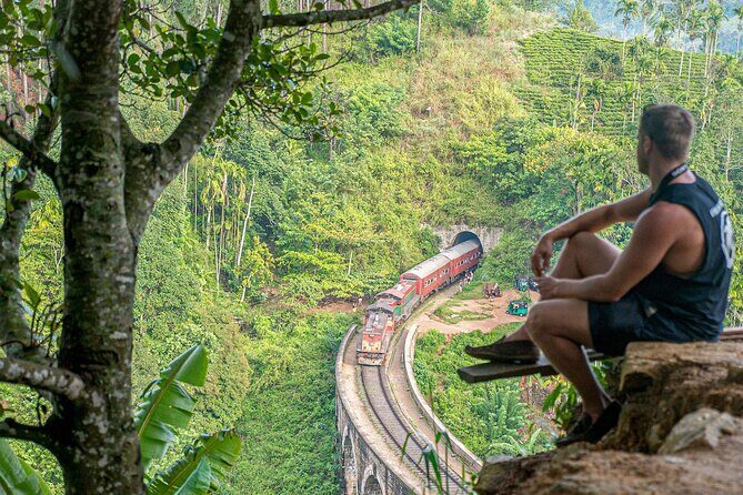 Ella Day Tour with Tea Factory visit from Bentota - The Experience: Pros and Cons