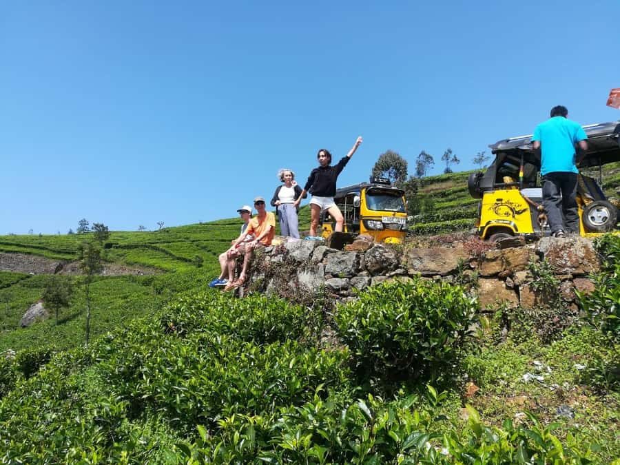 Ella Haputae Tea Plantation Safari By TukTuk & Cooking Class - The Experience in Detail: What You Can Expect