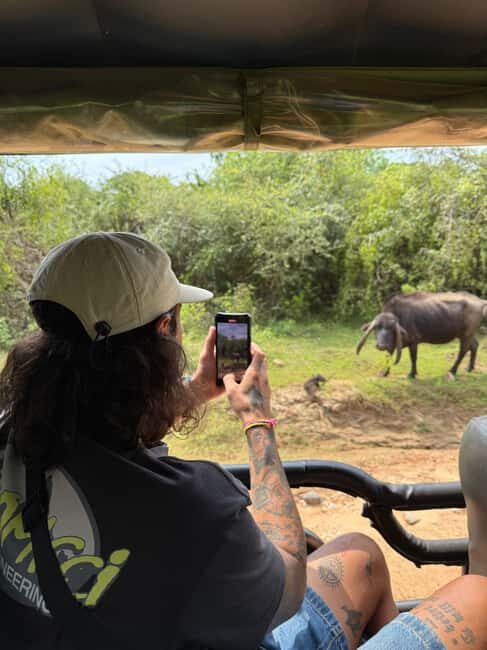 Ella: Highlands to Coast Tour With Safari & Village Lunch - FAQ