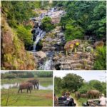 Ella: Udawalawe National Park Safari with Pickup - Additional Details and Considerations