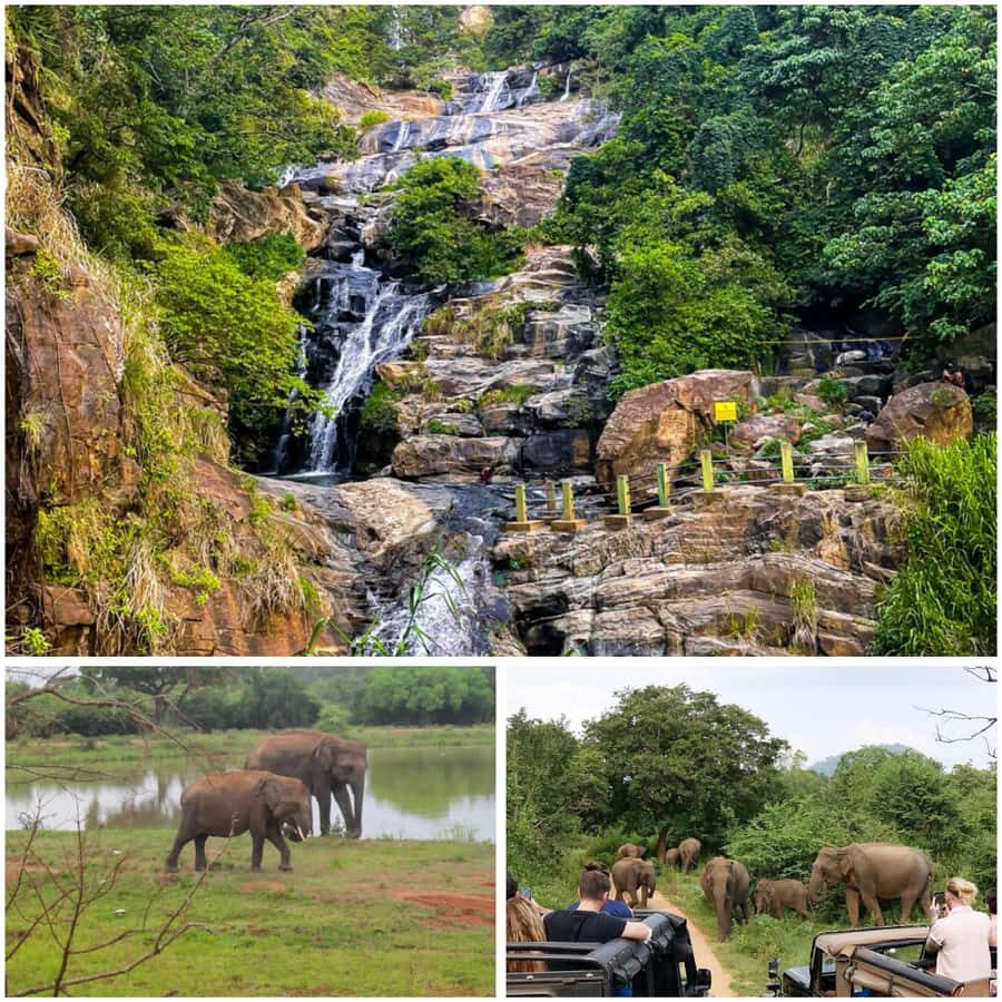 Ella: Udawalawe National Park Safari with Pickup - Additional Details and Considerations