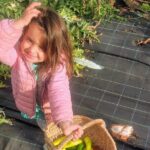 Ellia's Garden: Pick Your Own & Farm Family Fun - Who Should Visit Ellia’s Garden?