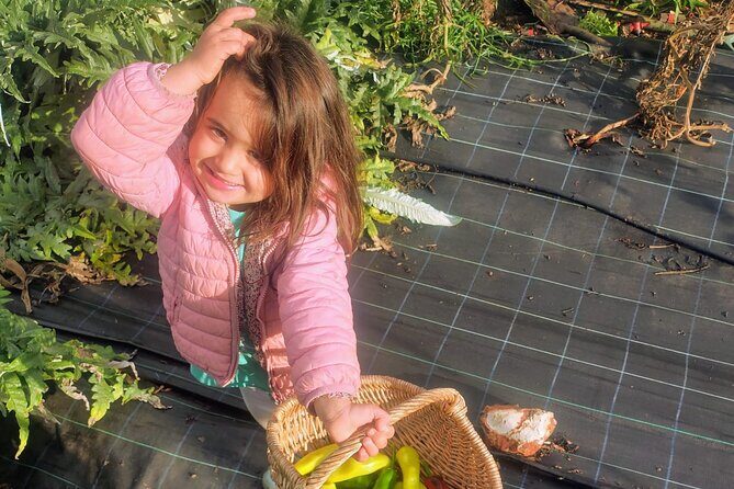 Ellia's Garden: Pick Your Own & Farm Family Fun - Who Should Visit Ellia’s Garden?